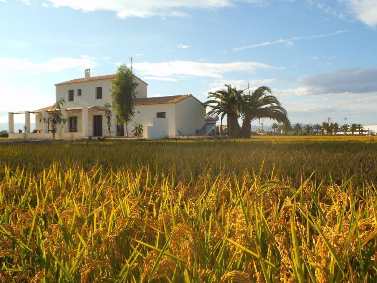 Más dels bonos Casa de hóspedes Deltebre Exterior foto